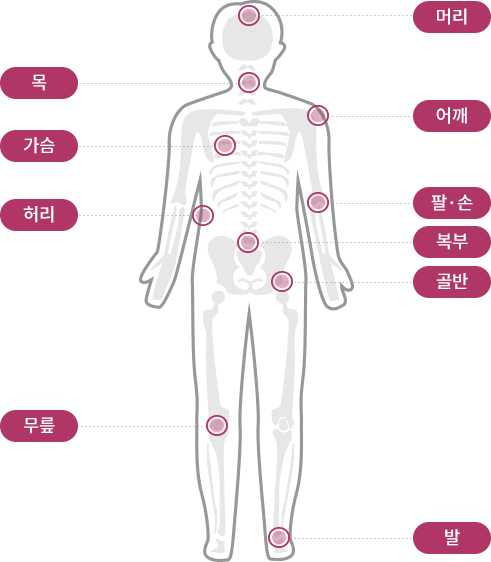머리,어깨,목,가슴,허리,팔·손,복부,골반,무릎,발